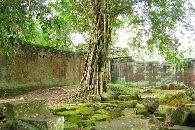 Angkor Wat Private Tour with English Speaking Driver, NO guide - How to make the most of a “no guide” day