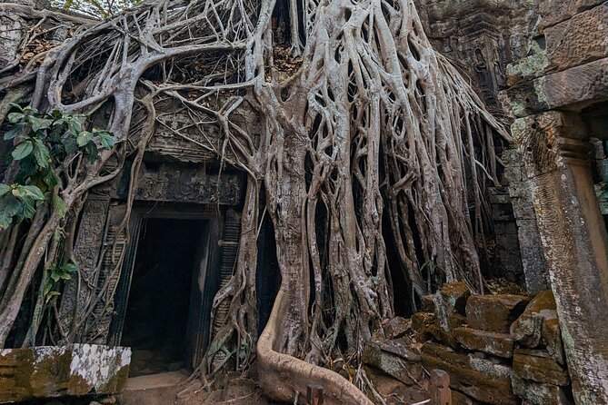 Angkor Wat Private Tuk-Tuk Tour (sunrise Option) & more - Bayon Temple: 2 hours in the Buddhist centerpiece