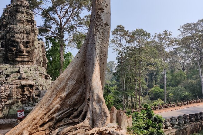Angkor Wat Private Tuk-Tuk Tour (sunrise Option) & more - The comfort details that make the day smoother