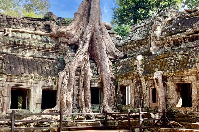 Angkor Wat Small Circuit & Sunset Tour - Why This Sunset Finish Feels Better Than Sunrise