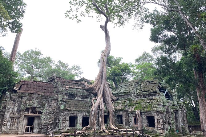 Angkor Wat Small Circuit & Sunset Tour - How Long It Takes and Why That Matters for Your Day