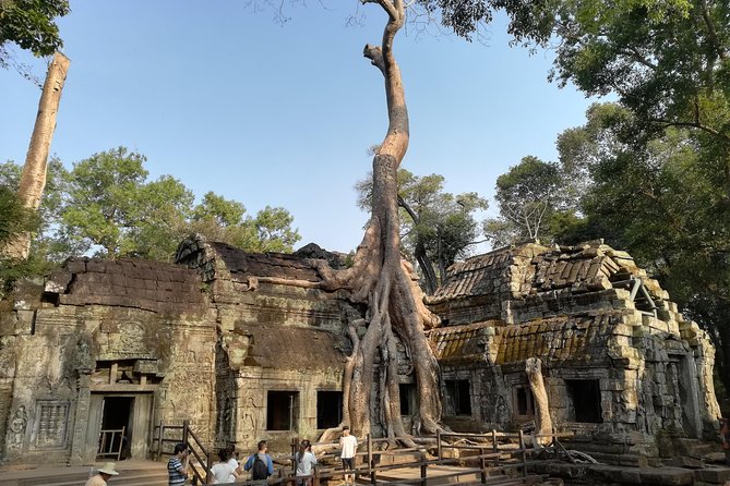 Angkor Wat Small Circuit Tour - Why the Angkor Wat Small Circuit Is a Smart One-Day Plan