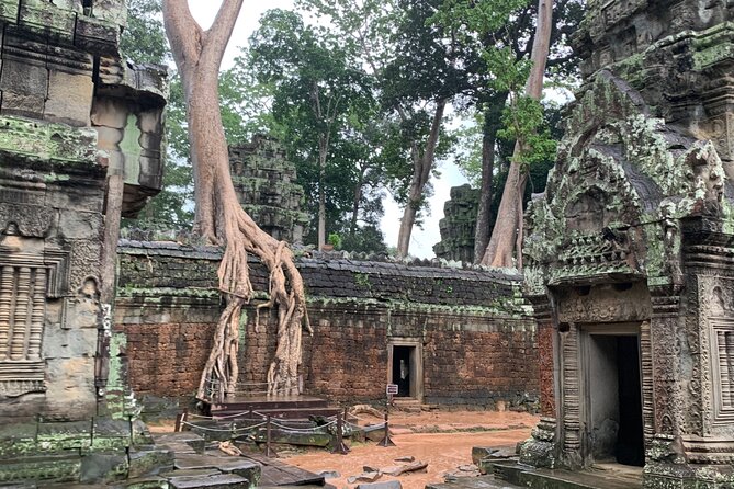 Angkor Wat Small Circuit Tour - Angkor Wat Stop: World-Scale First, Plan Your 3 Hours