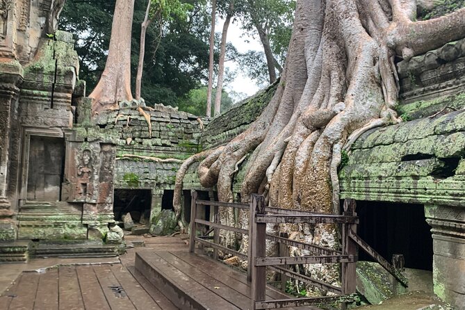 Angkor Wat Small Circuit Tour - Ta Prohm Stop: The Tomb Raider Temple Moment in 1 Hour