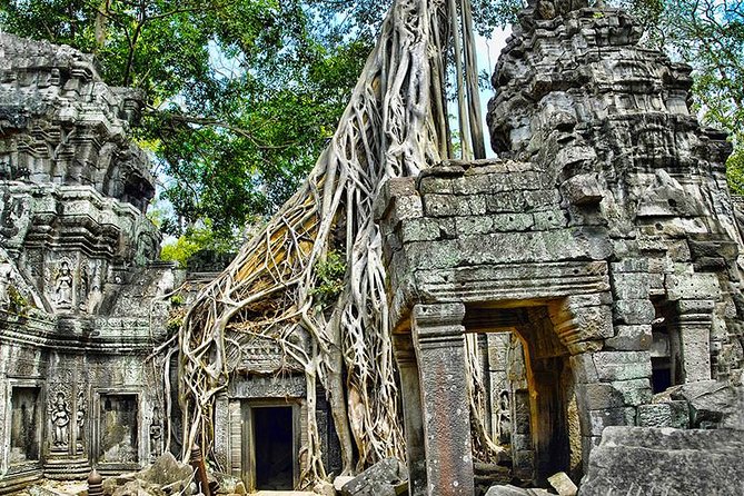 Angkor Wat Small-Group Exploration with Expert Guide - Heat management, clothing rules, and how guides keep you steady