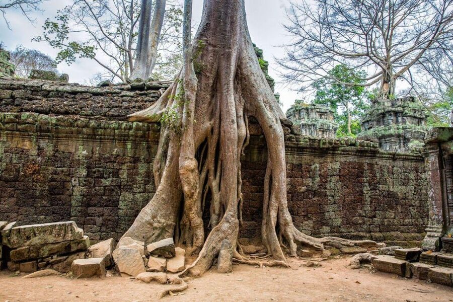 Angkor Wat Small Tour Sunrise With Private Tuk Tuk - English Driver and Private Group: Value in Comfort and Control