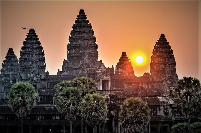 Angkor Wat Sunrise & All Highlight Angkor Temple Private Day Tour - Terrace of the Elephants to Ta Prohm: the sculpted drama you remember