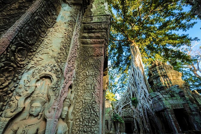 Angkor Wat Sunrise & All Highlight Angkor Temple Private Day Tour - Price and value: what $65.55 covers, and what to budget next