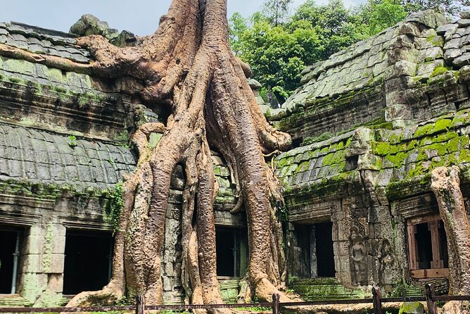 Angkor Wat Sunrise and Angkor Thom Sunset Tour - Ta Prohm: trees, stones, and a monastery’s afterlife