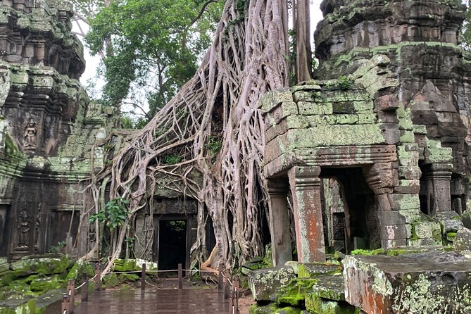 Angkor Wat Sunrise and Angkor Thom Sunset Tour - Your guide: what to look for on a private Angkor day