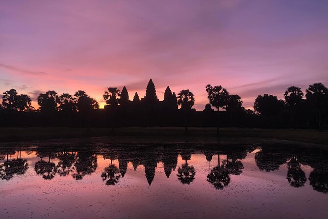 Angkor Wat Sunrise and Tonle Sap Lake 1.5 Days - Ta Prohm: When the Jungle Gets a Vote