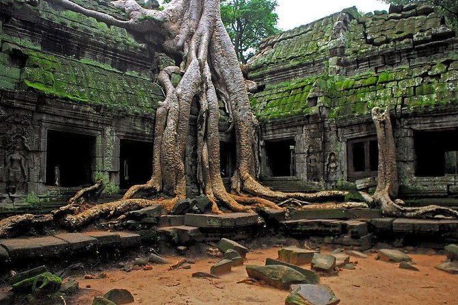 Angkor Wat Sunrise and Tonle Sap Lake 1.5 Days - Kampong Phluk on Tonle Sap, Plus the Boat Cruise Reality Check