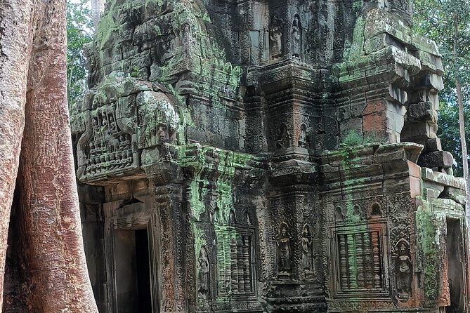 Angkor Wat Sunrise Experience – Ultimate 1-Day Guided Temple Tour - Price reality: $24.03 is the guide and logistics, not the temple tickets