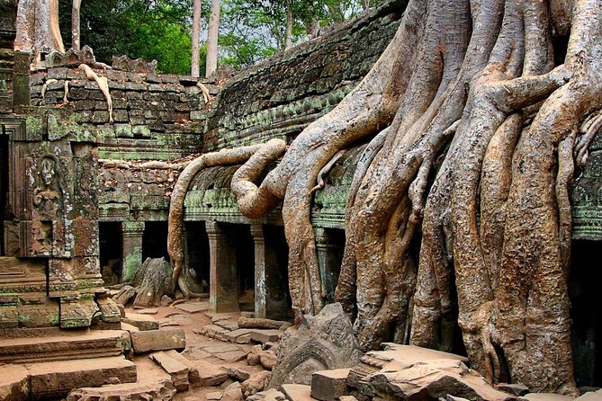 Angkor Wat Sunrise or Sunset Tour with Guide from Siem Reap - Ta Prohm, the jungle temple: what to expect beyond the photos