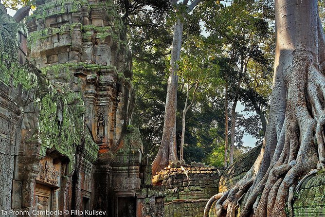 Angkor Wat Sunrise or Sunset Tour with Guide from Siem Reap - Guides, cold towels, and why timing feels “easy”