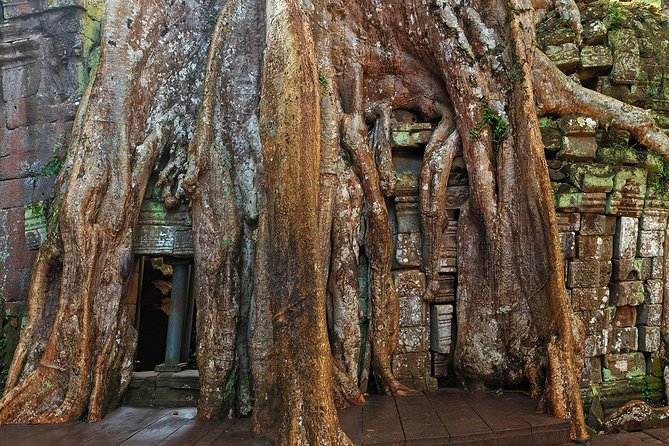Angkor Wat Sunrise or Sunset Tour with Guide from Siem Reap - Sunrise vs sunset: how to choose the right version