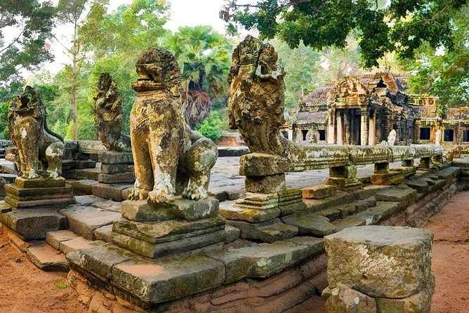 Angkor Wat: Sunrise or Sunset Tours with Tuk Tuk - Ta Prohm: when nature takes back the temple