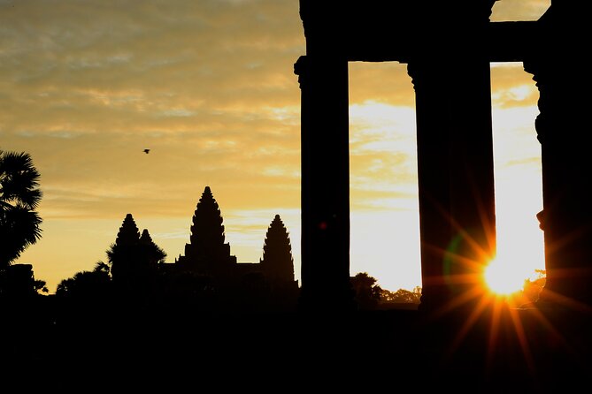 Angkor Wat Sunrise Private Full Day Tour - Ta Prohm: The Tree Roots That Turn Ruins Into a Living Place