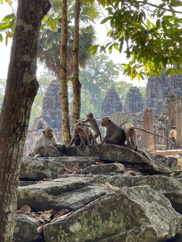 Angkor Wat Sunrise Private Full Day Tour - Baphuon and Bayon: When Stone Faces Become the Day’s Main Character