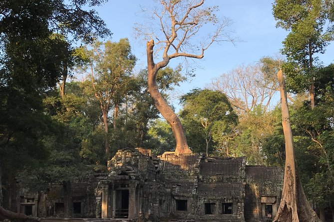 Angkor Wat Sunrise Private Tour by Vintage Jeep - Why a private vintage Jeep works so well for Angkor sunrise