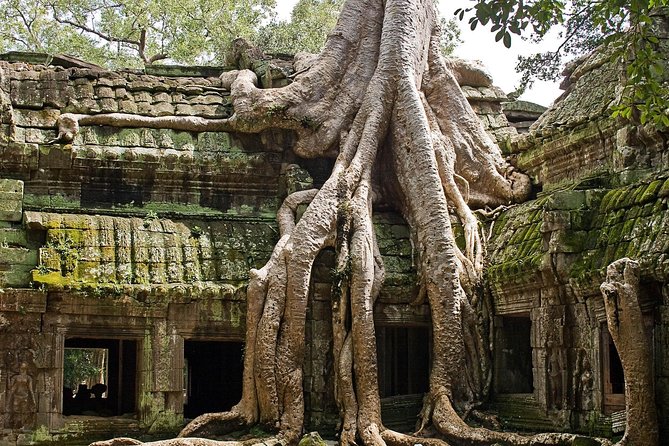 Angkor Wat Sunrise & Small Circuit Tour - The 4:30 a.m. pickup, and how to be ready