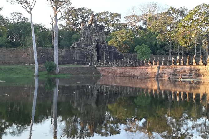 Angkor Wat Sunrise & Small Circuit Tour - Stop 2: Ta Prohm, where the trees do the talking