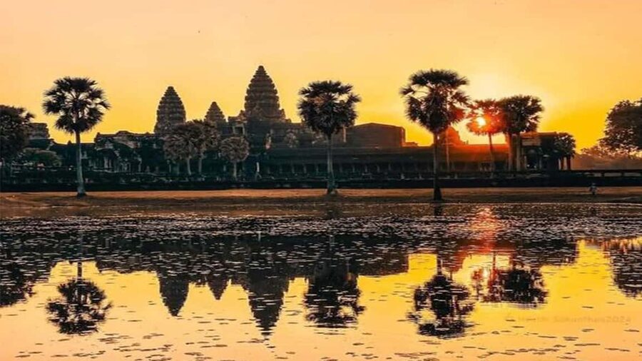 Angkor Wat Sunrise Tour Half-Day (Join-In-Tour) - Ta Prohm, where tree roots take over the frame