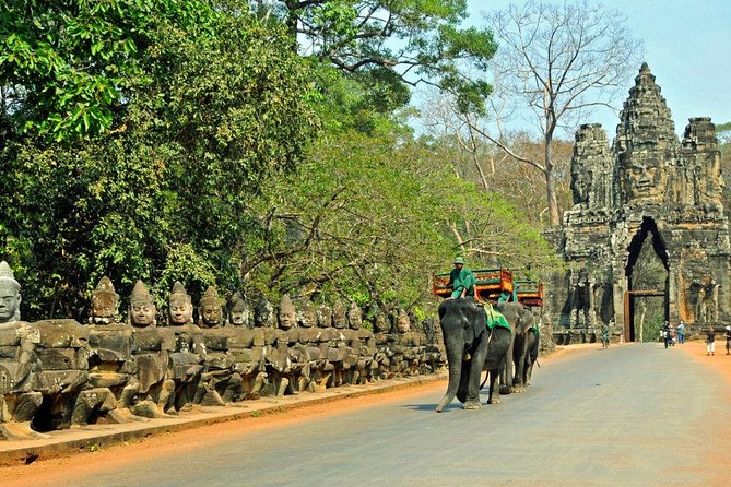 Angkor Wat Sunset Tour - Ta Prohm: Tomb Raider Temple Energy in Real Life