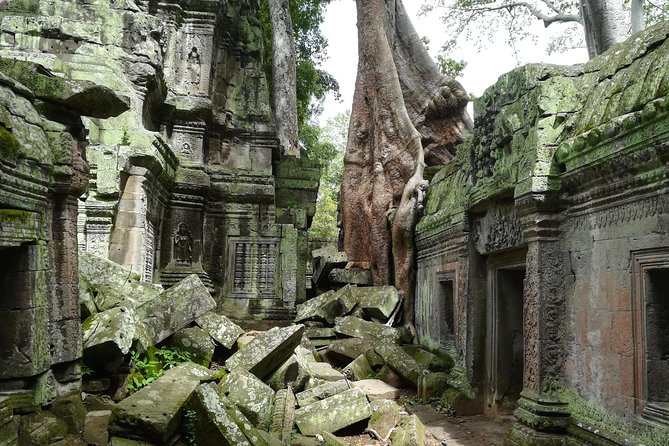 Angkor Wat Sunset TUK TUK Tour - Ta Prohm: the rainforest-tangled icon