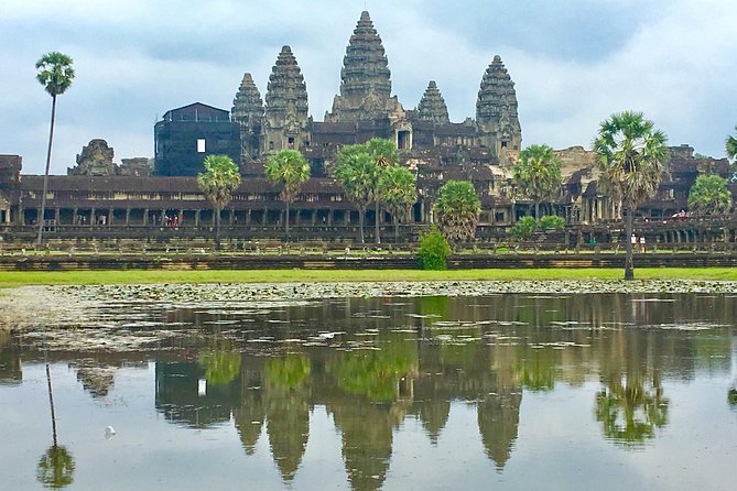 Angkor Wat, Ta Promh, Banteay Srei, Bayon temples Private Tour - Ta Prohm: where the trees still feel like part of the temple