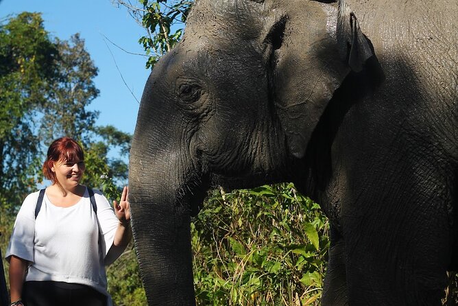 Angkor Wat Temples & Kulen Elephant Forest Day Tour - Key things to know before you go