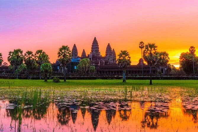 Angkor Wat Tour deutsch - Sonnenaufgang | Private Führung - Stop 3: Ta Prohm and the Art of Letting Nature Take Over