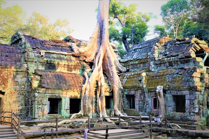 Angkor World Heritage with Sunrise - Small Group - Comfort on a Half-Day Schedule, Plus the Small-Group Advantage