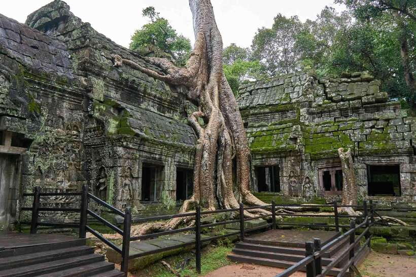 Angkor Zipline and Temple Tour with Sunset - How this tour blends jungle flight with real temple time