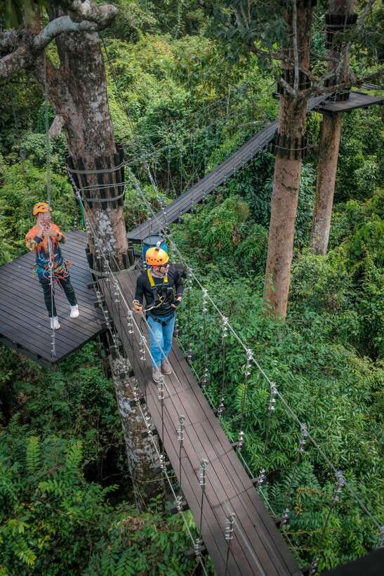 Angkor Zipline and Temple Tour with Sunset - Angkor Thom: where the guide makes the stone feel alive