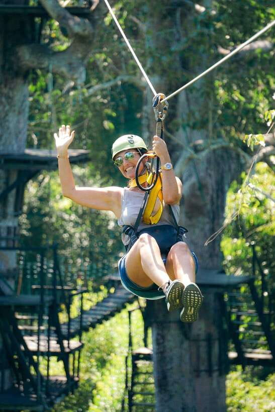 Angkor Zipline and Temple Tour with Sunset - Lunch energy check, then Ta Prohm with its famous roots