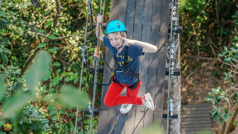 Angkor Zipline Eco-Adventure Canopy Tour - Gold Course vs Silver Course, what changes in your adventure