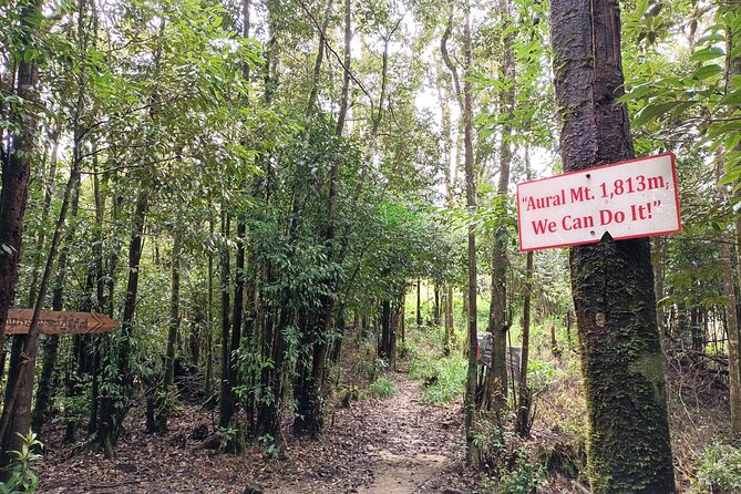Aural Mountain Trek: Cambodia Tallest Peak Challenge - What Fully-Serviced Trekking Means for You, Day to Day