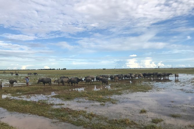 Authentic Cambodian Countryside Jeep Experience - Rice fields, village market flavors, and duck field work