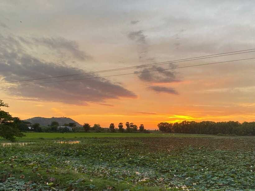 Authentic Siem Reap: Tuk Tuk Countryside and Sunset Tour - Lotus Farm Workshop: Why the Lotus Plant Matters