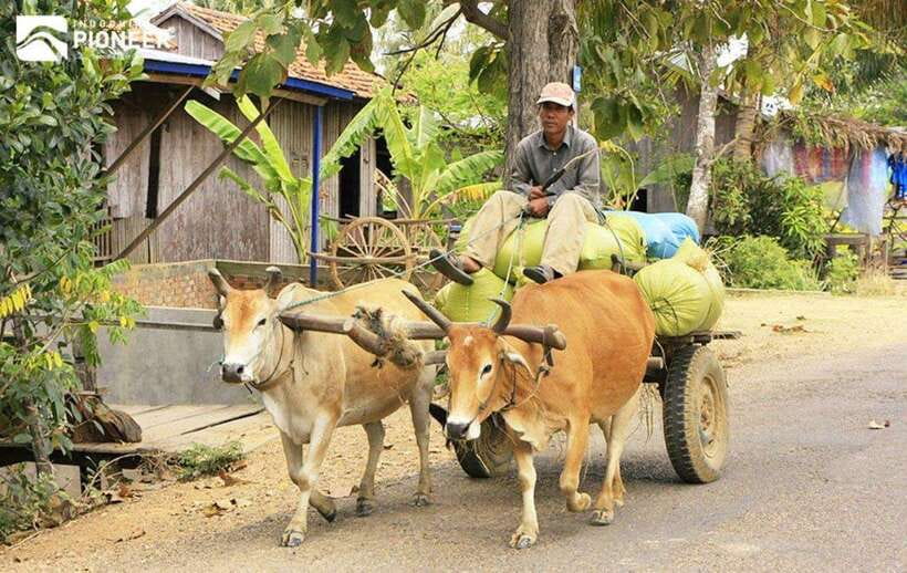 Back to Basics: Siem Reap Village Tour in Cambodia - Should you book this Siem Reap village tour?