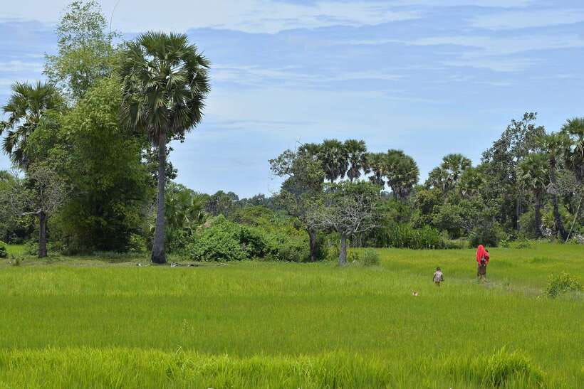 Back to Basics: Village Life Tour from Siem Reap - Key Things I’d Put on Your Radar