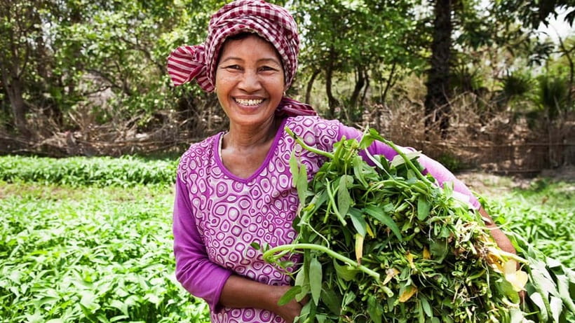 Back to Basics: Village Life Tour from Siem Reap - Back to Basics: What Makes This Village Tour Feel Authentic