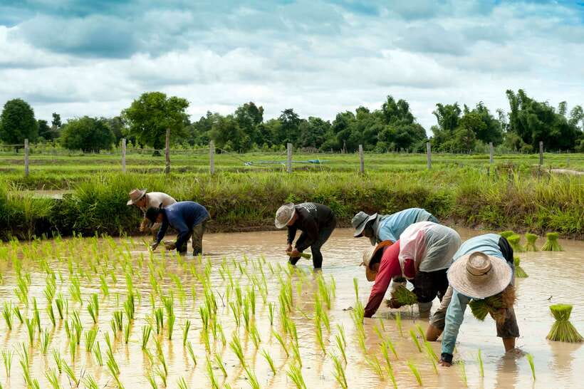 Back to Basics: Village Life Tour from Siem Reap - Clean Water and Employment: The Modern Challenges the Village Can’t Ignore