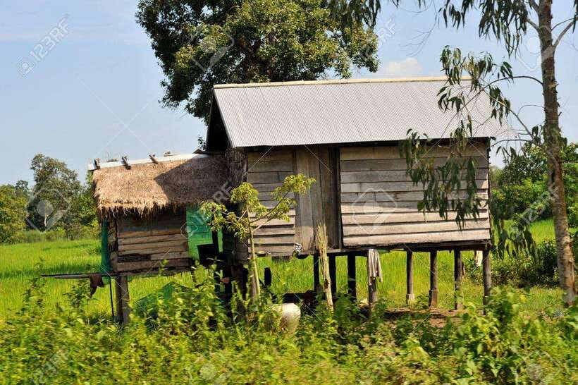 Back to Basics: Village Life Tour from Siem Reap - Transport, Timing, and Why the Included Comfort Matters