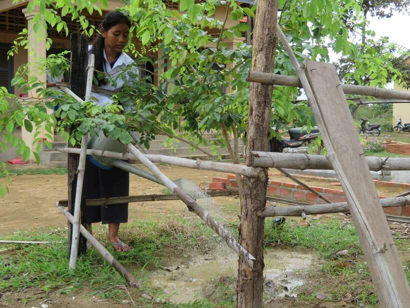 Back to Basics: Village Life Tour from Siem Reap - Four Hours of Daily Life: Firewood, Water, Weaving, and Rice Wine