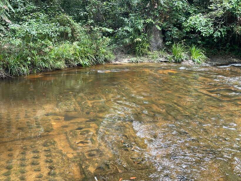 Banteay Srei, Kulen Waterfall & Beng Mealea Small-Group Tour - The River of 1000 Lingas at Anlong Pong Phkay