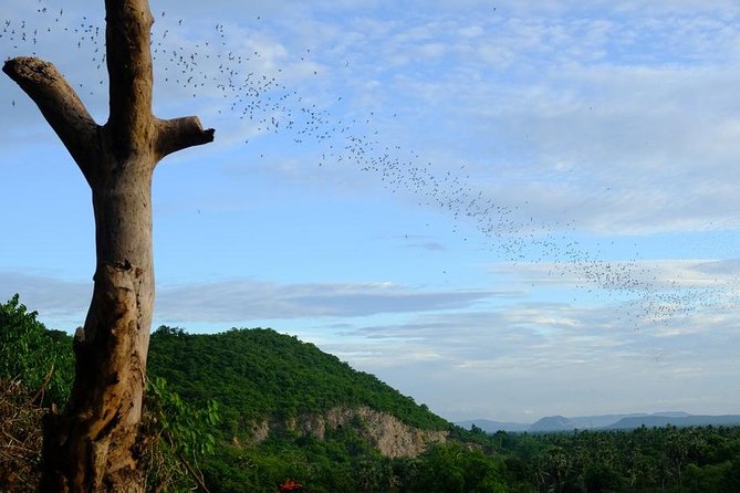 Battambang Full Day Tour from Siem Reap - Bamboo Train, Killing Cave & Sunset - Lunch, snacks, and water: the small things that keep the day on track
