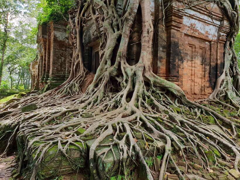 Beng Mealea, Koh Ker & Floating village Day Tour - Price and value: $65 plus temple fees, and when it still makes sense