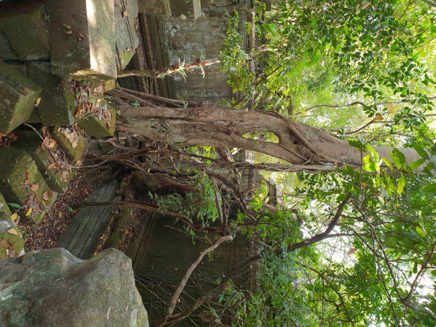 Beng Mealea, Koh Ker & Floating village Day Tour - The guide factor: what good storytelling looks like here